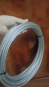 Dây cáp thép mạ kẽm Ø [ 6mm ]  (Giá/ 1 mét dây)