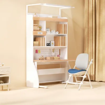 ZHIXUEKU | Adjustable Height Children Learning Desk
