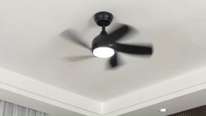 REGAIR ROZY 30 inch DC Motor Silent Ceiling Fan with Light 5 Blades 16 Speed Remote Control 75% energy-saving
