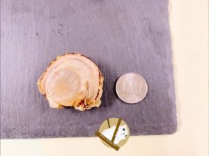 YAMAEI Hokkaido Grilled Scallops 310g Original Dried Scallops Original Scallops Isoyaki Japanese Delicacy Japanese Snacks Seafood