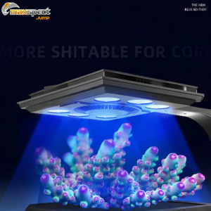 maxspect | Full Spectrum Sunrise and Sunset Simulation LED Aquarium Light