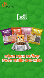 🐱 Hạt EXCEL Cho Mèo Gói 500G – Phát Triển Toàn Diện Giảm Mùi Hôi Phân Lông Mượt Khỏe