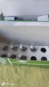 Hộp 10 bóng đèn thắng xe ô tô loại 12V 24V 1 chân 2 chân cài.