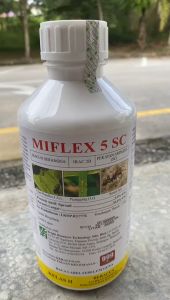 MIFLEX 5SC 1LITER / RACUN SERANGGA ANAI-ANAI / A.I:FIPRONIL