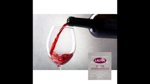 LALVIN DRIED WINE YEAST EC1118 1 SACHET