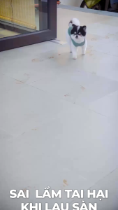 Nước lau sàn đậm đặc Obay 1000ml - Hương thiên nhiên tươi mát