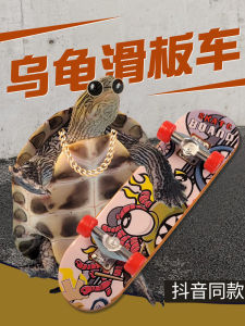 Tiktok Same Turtle Scooter Chinese Grass Tortoise Brazilian Turtle Top Ink Bring In Wealth and Treasure Gold Thread Grass Tortoise Tortoise Feeding Complete Collection