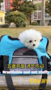 Pet Carrier Cat Carrying Handbag Dog Bag Portable Cats Dogs Travel Carrier Shoulder Bag and Functional