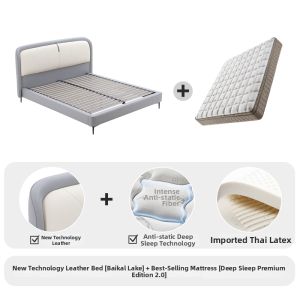 Airland | Modern Luxury Soft Back Anti-Stain Leather Bed