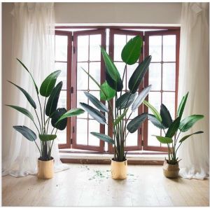 Cây Chuối Cảnh Giả -Cây Chuối Xẻ Quạt 1m2 1m6