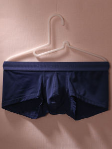 Quần Lót Nam Ice Silk Cạp Thấp Gợi Cảm Mùa Hè Đơn Giản Màu Trơn Gợi Cảm Quần Lót Góc Phẳng Bằng Vải Lụa Mịn