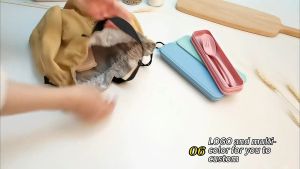 3in1 Cutlery Set Wheat Spoon Fork Chopsticks with Organizer Box Reusable Tableware / Set Peralatan Makanan