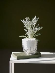 Self-Absorbing Water Flowerpot Transparent Breathable Hydroponic Flowerpot Living Room Tabletop Decorative Pasu bunga花盆