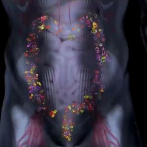 Teh detocha detox usus kotor racun dalam tubuh / TEH DETOX RACUN PENYAKIT PENCERNAAN KOLESTEROL ASAM URAT diet menurunkan berat badan