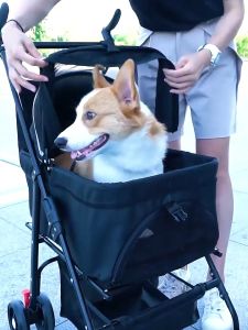 25KG รถเข็นสูงสุด - 4 ล้อ รถเข็นแมว 2 ชั้น พับเก็บใส รถเข็นสูงสุด 4 ล้อ รถเข็นแมว 2 ชั้น พับเก็บใส รถเข็นสูงสุด รถเข็นสูงสุด รถเข็นแมว 4 ล้อ รถเข็นสัตว์เลี้ยง