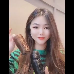 Penambah Volume Rambut Sirkam Sisir Sasakan Peninggi Rambut- Fluffy Hair Pad Hair Clip Invisible Hair Bun Styling Tools Wig SH Sasak SH P09