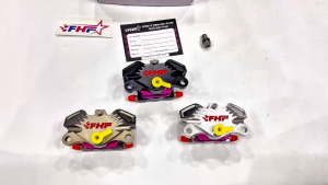 Heo Dầu FHF 2 Pis Mẫu Cánh Gió 2025 Siêu Nét Lắp Như Zin Cho Mọi Loại Xe