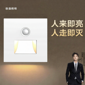 OPPLE | Stair Step Human Body Sensing Light 86 Type