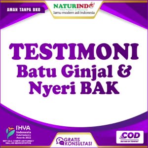 Obat Anyang Anyangan Nyeri Obat Batu Ginjal Infeksi Saluran Kemih ISK Pembersih Ginjal Urinofit