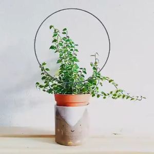 Plant Vine Support For Home Garden Balcony Plant Climbing Stand Creative Climbing Flower Stand