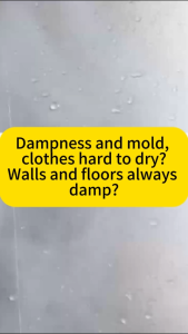 3x Powerful Moisture Absorption 800ML Japan Moisture Absorber Rapidly absorbs moisture prevents mold and eliminates odors. Natural activated carbon safe and non-toxic Suitable for wardrobes and cars