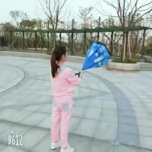 Manual Long Handle Reverse Umbrella Double Layer For Car Use