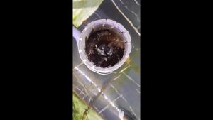 สกิมเมอร์ สะดือบ่อ สะดือเทียม ดูดมูลปลา ฝุ่นผิวน้ำ ดูดเศษอาหาร ทำความสะอาดบ่อ หน้าจานขนาดเล็ก ต่อท่อ 4หุ่น/6หุ่น