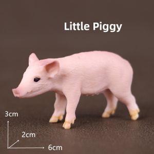 Realistic Animal Education Toys