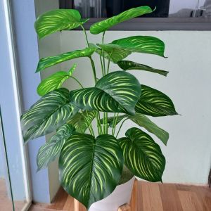 Mua cây tặng chậu - Cây giả Cây trầu bà lá sọc cây giả  trang trí nhà cửa khách sạn cafe...