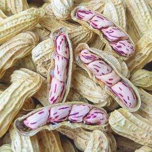 Sun Dried Multicolored Peanuts Salted Original