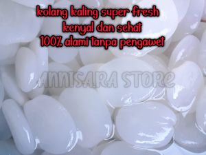 kolang kaling fres bahan manisan kolang kaling buah aren netto 500gr