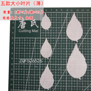 Import Wafer Paper Leaves Maple Leaf Olive Leaf Cut Out Lace Blade Set Shaped Asymmetrical Baking Decoration