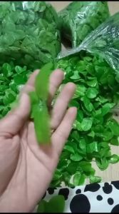 Daun Bunga Rose Kain Isi 50pcs / 100pcs