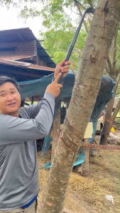 ด้ามต่อมีดกรีดยางหน้าสูง-ต่ำ แบบหมุนเข้า-ออกได้