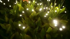 Outdoor RGB Color Lights LED Solar Garden Lamp Firefly Lights IP65 Waterproof Vibrant Swaying Lights Pathway Patio Decoration