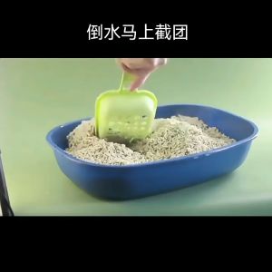 Premium Super Clumping Cat Litter Tofu Cat Litter Sand Pasir Kucing Wangi Tofu Litter Cat Toilet Kucing Tandas 猫砂