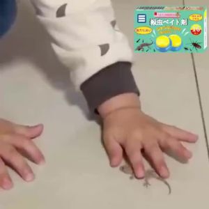 1 box of 16 pcs Layee Lizard killer Racun cicak Ubat cicak Lizards love to eat，Effective quickly Lizard killer bait Racun cicak paling kuat 壁虎药