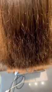 Bremod Premium Hair Serum 10-in-1 Hydrate Smooth Frizz Shiny Moisturizing Care Treatment