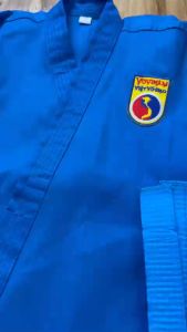 Võ Phục VOVINAM phong trào tặng kèm đai và logo - có  giao sỉ co HLV và giao hỏa tốc