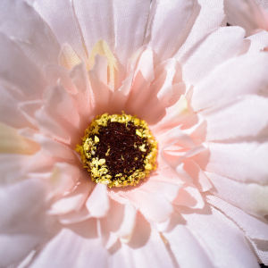 On Sale ดอกแดนดิไลออนดอกเบญจมาศดอกไม้ปลอมดอกไฮเดรนเยียส สำหรับตกแต่งของขวัญช่อดอกไม้ งานแต่งเจ้าสาว แบบผ้า มีนิยมเทียม