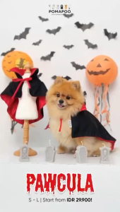 POMAPOO - Kostum Kucing dan Kostum Anjing Pawcula