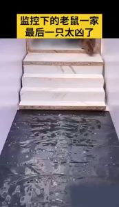 🔥HOT🔥Mua 10 tặng 1| Bẫy Chuột Bằng Keo Kích thước mở rộng 120M Keo dán chuột siêu dính-An toàn không độc hại và có thể tái sử dụng