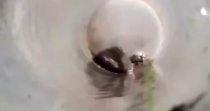 【FAST Delivery】8m-15m Dây Thông Tắc Cống Bằng Áp Lực Nước-Sử dụng bằng máy rửa xe-có các cỡ dây