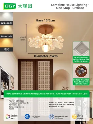 DGY | Rustic Japanese Style Ceiling Interior Light