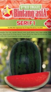 Benih Semangka 3N SERI F1 20 Gram Cap Bintang Asia PT Benih Citra Asia Toleran virus FW GSB DM Cocok untuk Dataran Rendah - Menengah
