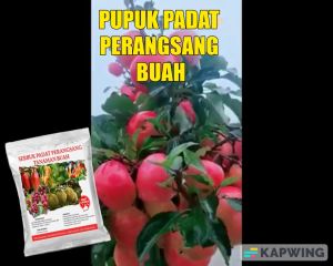 Pupuk Organik Padat Cair Untuk Penyubur Tanaman Buah Tambulampot Perangsang bunga dan buah Cegah Rontok Pupuk Tanaman NPK Pupuk Perangsang Buah Pupuk Perangsang Bunga Pupuk Majemuk Pupuk Urea Pupuk Mempercepat Tanaman Pupuk Tanaman Hias