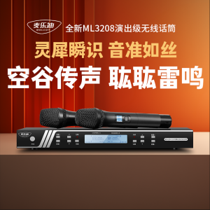 Wireless Microphone ML3208 Stage Conference Performance One to Two Home K Song Family Karaoke Handheld Heart Shaped Polarization