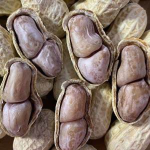 Garlic Five-Spice Roasted Peanuts