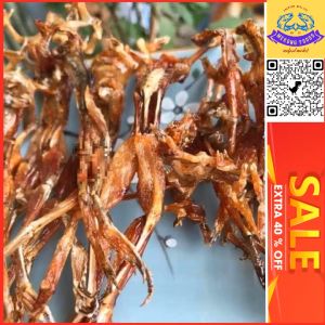 Khô nhái (vũ nữ chân dàithơm ngon bổ dưỡng dùng để chế biến món ăn cơm hoặc dùng làm đồ nhậuhải sản khô thực phẩm khô Thiên Tú
