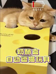 MAOGUANJIA | Automatic Entertaining Energy-consuming Smart Interactive Cat Toy